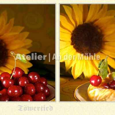 Fotografie Töwertied Sonnenblume © 2007 Ilona Weinhold-Wackernah - 000594