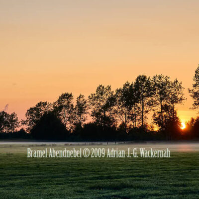 Kunstwerk Fotografie Bramel Abendnebel © 2009 Adrian J.-G. Wackernah - 001062