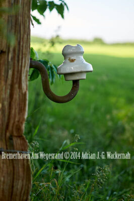 Fotografie Bremerhaven Am Wegesrand © 2014 Adrian J.-G. Wackernah - 001068