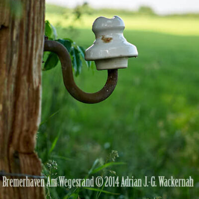Fotografie Bremerhaven Am Wegesrand © 2014 Adrian J.-G. Wackernah - 001068