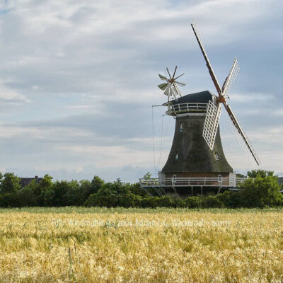 Fotografie Föhr Windmühle © 2004 Adrian J.-G. Wackernah - 001117