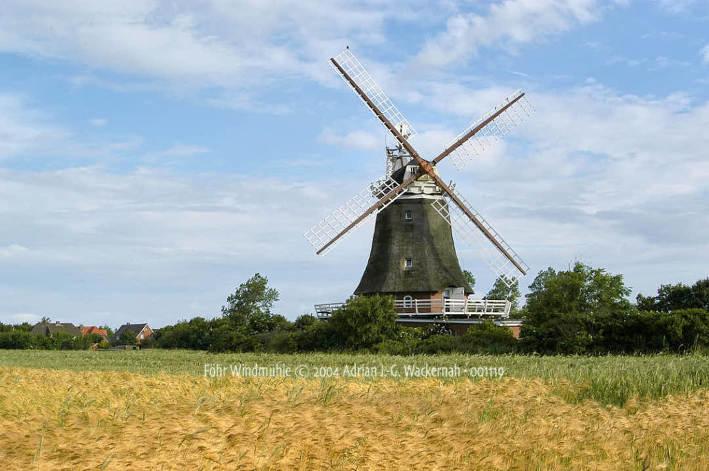 Wandbild Föhr Windmühle Atelier An der Mühle