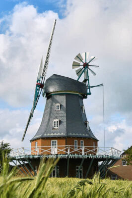 Fotografie Föhr Windmühle © 2004 Ilona Weinhold-Wackernah - 001121