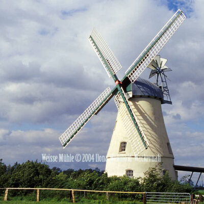 Fotografie Lüdingworth Weisse Mühle © 2004 Ilona Weinhold-Wackernah - 000756