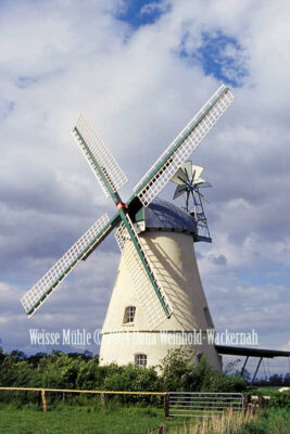 Fotografie Lüdingworth Weisse Mühle © 2004 Ilona Weinhold-Wackernah - 000757