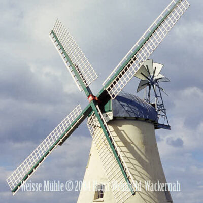 Fotografie Lüdingworth Weisse Mühle © 2004 Ilona Weinhold-Wackernah - 000758