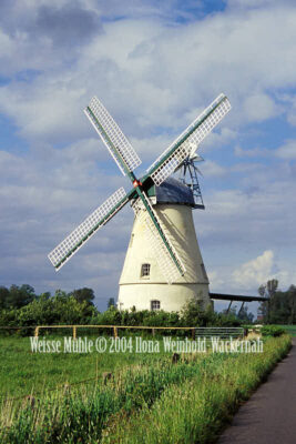 Fotografie Lüdingworth Weisse Mühle © 2004 Ilona Weinhold-Wackernah - 000759