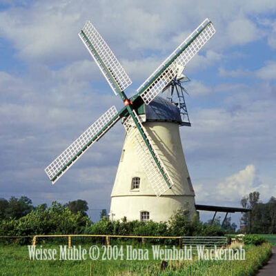 Fotografie Lüdingworth Weisse Mühle © 2004 Ilona Weinhold-Wackernah - 000759