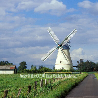 Fotografie Lüdingworth Weisse Mühle © 2004 Ilona Weinhold-Wackernah - 000760