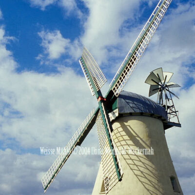 Fotografie Lüdingworth Weisse Mühle © 2004 Ilona Weinhold-Wackernah - 000762