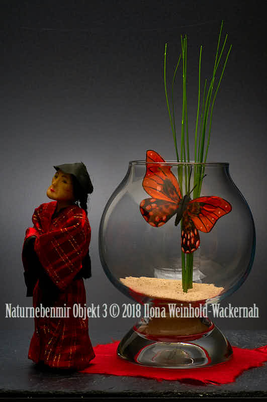 Fotografie Naturnebenmir Objekt 3 © 2018 Ilona Weinhold-Wackernah - 001088