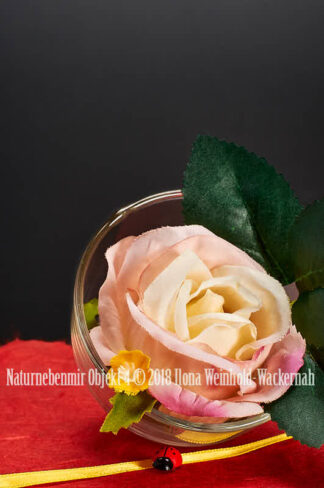 Fotografie Naturnebenmir Objekt 4 © 2018 Ilona Weinhold-Wackernah - 001089