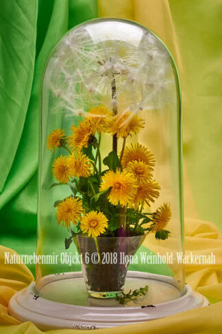 Fotografie Naturnebenmir Objekt 6 © 2018 Ilona Weinhold-Wackernah - 001091