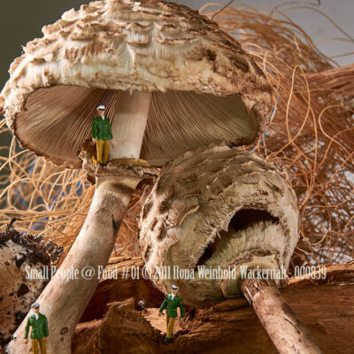 Fotografie Small People @ Food #01 © 2011 Ilona Weinhold-Wackernah - 000839
