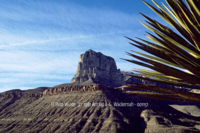 Fotografie El Paso Wüste © 1981 Adrian J.-G. Wackernah - 001151