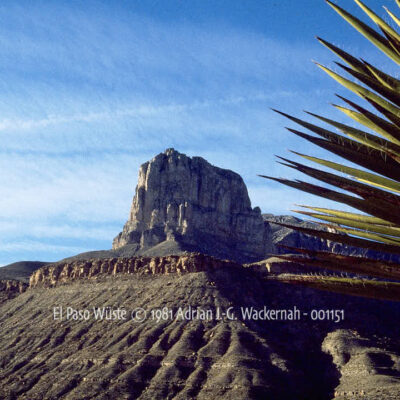 Fotografie El Paso Wüste © 1981 Adrian J.-G. Wackernah - 001151
