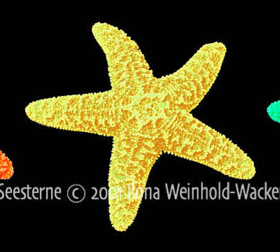 Fotografie new style Drei Seesterne © 2001 Ilona Weinhold-Wackernah - 000866