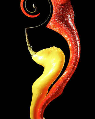 Fotografie new style Peperoni duo spirale © 2004 Ilona Weinhold-Wackernah - 000931