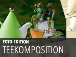 2010 Edition Teekomposition