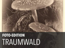 2011 Edition Traumwald