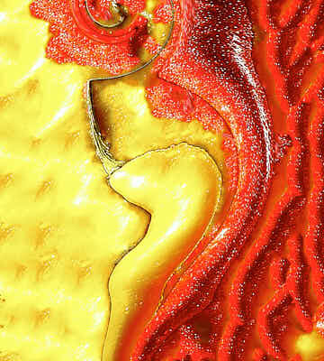 Fotografie Verzerrtes Zwei Peperoni Kreation © 2004 Ilona Weinhold-Wackernah