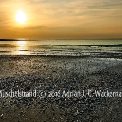 Produktbild Fotografie Baltrum Muschelstrand © 2016 Adrian J.-G. Wackernah - 001251