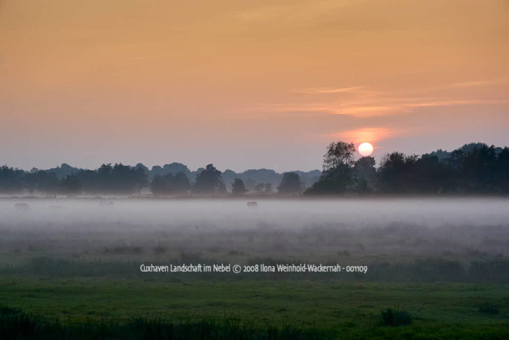 Produktbild Cuxhaven Landschaft im Nebel © 2008 Ilona Weinhold-Wackernah - 001109