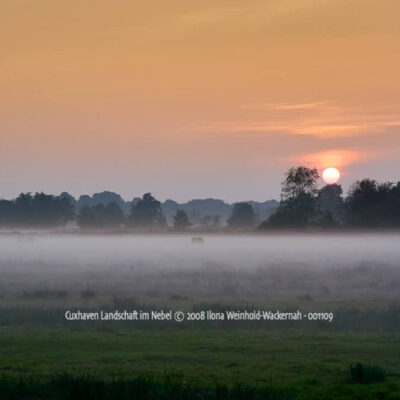 Produktbild Fotografie Cuxhaven Landschaft im Nebel © 2008 Ilona Weinhold-Wackernah - 001109