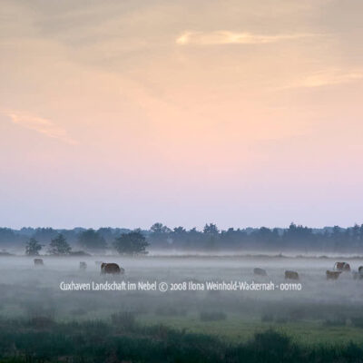 Produktbild Fotografie Cuxhaven Landschaft im Nebel © 2008 Ilona Weinhold-Wackernah - 001110