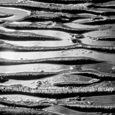 Kunstwerk Fotografie Baltrum Watt © 1994 Adrian J.-G. Wackernah - 001249