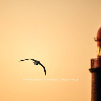 Produktbild Fotografie Bremerhaven Moleturm © 2019 Adrian J.-G. Wackernah - 001278