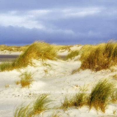 Produktbild 001324 Strand Amrum © 2004 Ilona Weinhold-Wackernah