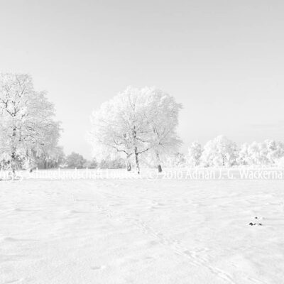 Produktbild 001325 Schneelandschaft Loxstedt © 2010 Adrian J.-G. Wackernah