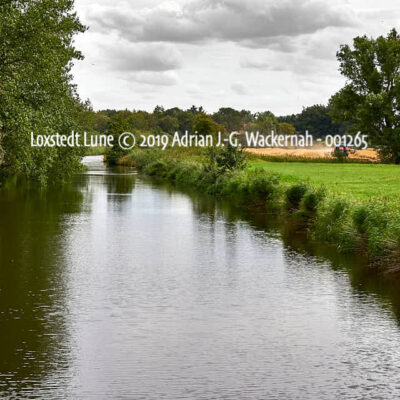 Produktbild Fotografie Loxstedt Lune © 2019 Adrian J.-G. Wackernah - 001265