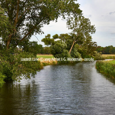 Produktbild Loxstedt Lune © 2019 Adrian J.-G. Wackernah - 001269