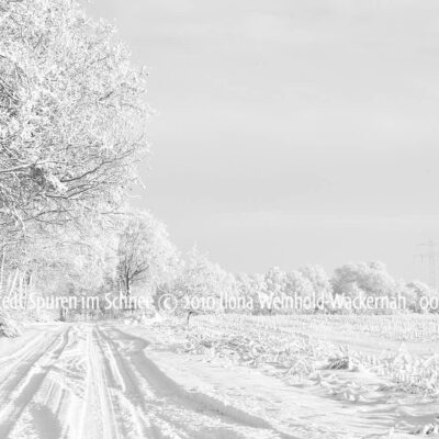 Produktbild Loxstedt Spuren im Schnee © 2010 Ilona Weinhold-Wackernah - 001285