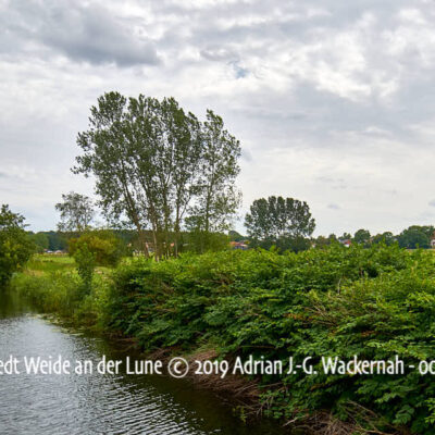 Produktbild Fotografie Loxstedt Weide an der Lune © 2019 Adrian J.-G. Wackernah - 001268