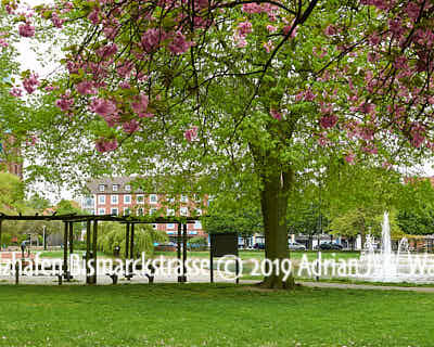 Produktbild Fotografie Bremerhaven Holzhafen Bismarckstrasse © 2019 Adrian J.-G. Wackernah - 001217