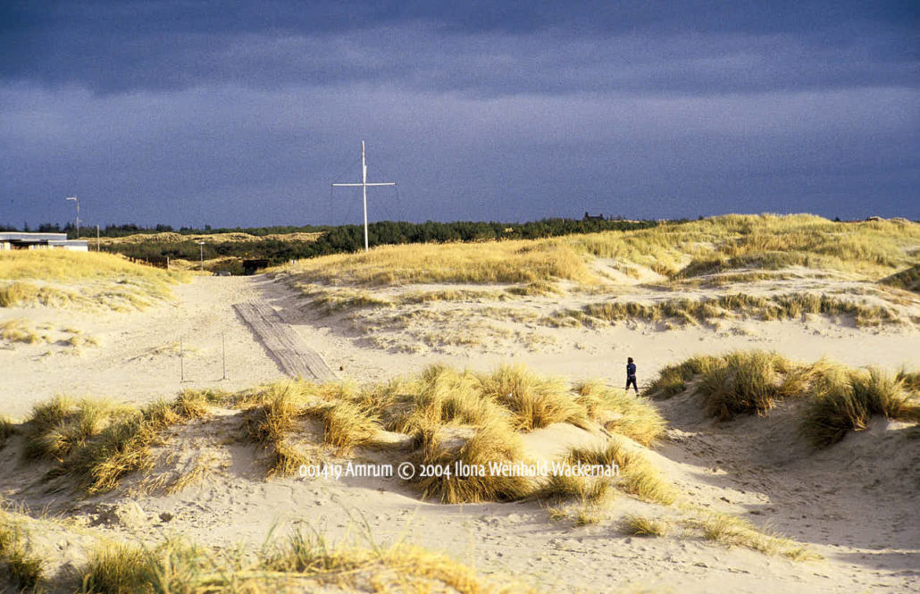 56+ Amrum Teich, Find what to do today, this weekend, or in june.