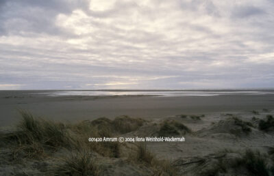Produktbild 001420 Amrum © 2004 Ilona Weinhold-Wackernah