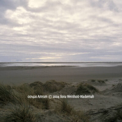 Produktbild 001420 Amrum © 2004 Ilona Weinhold-Wackernah