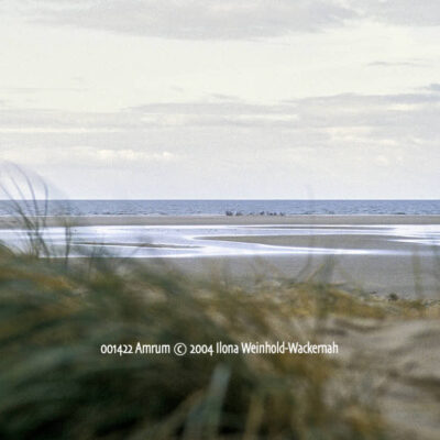 Produktbild 001422 Amrum © 2004 Ilona Weinhold-Wackernah