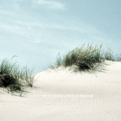 Produktbild 001423 Amrum © 2006 Ilona Weinhold-Wackernah