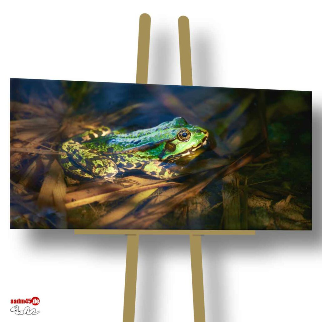 Ein Frosch 160x80 cm Canvas