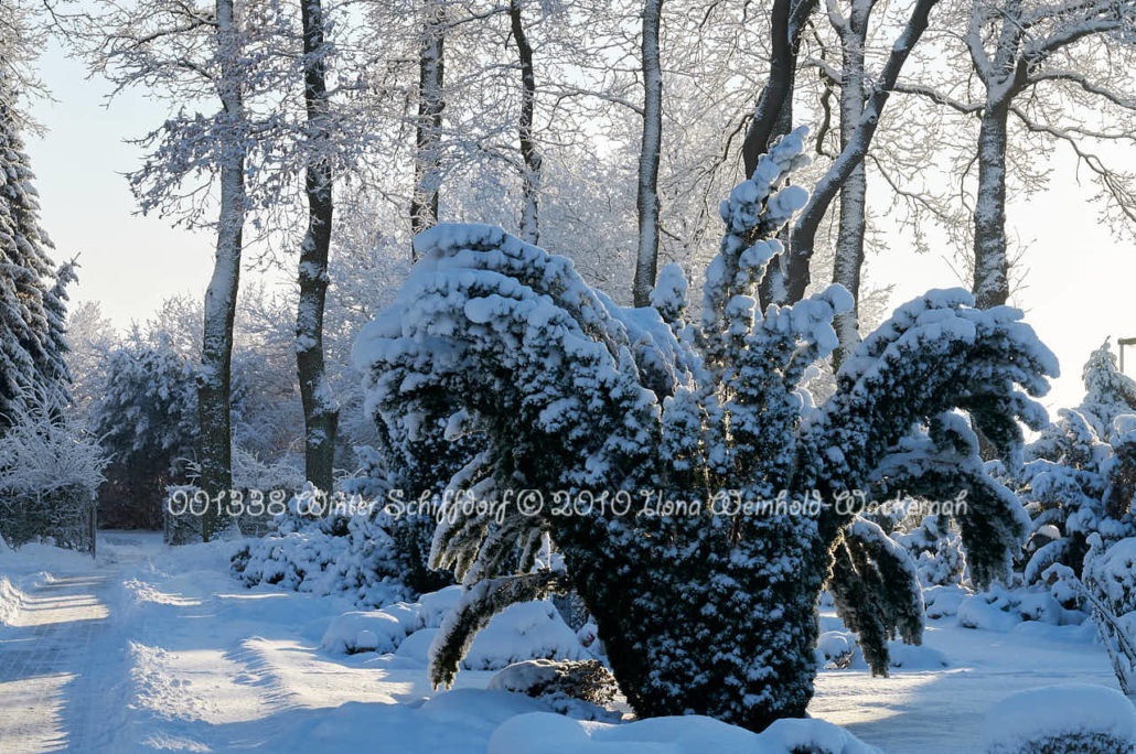 Produktbild 001338 Winter Schiffdorf © 2010 Ilona Weinhold-Wackernah