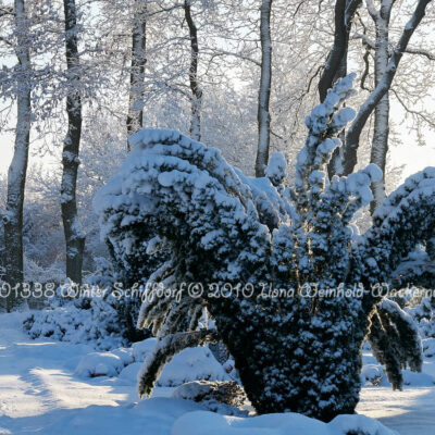 Produktbild 001338 Winter Schiffdorf © 2010 Ilona Weinhold-Wackernah