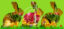 Fotokarte 001657 Ostern © 2021