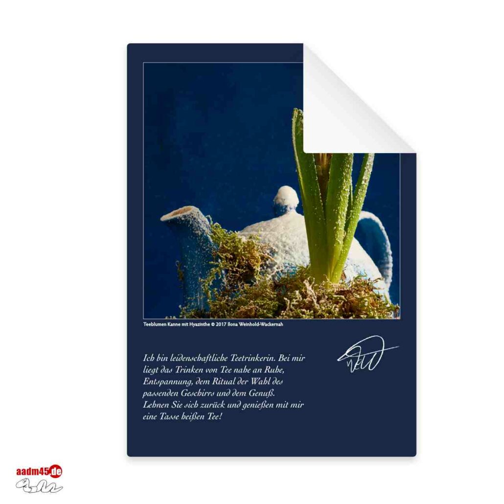Postkarte Hyazinthenblüte