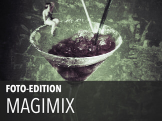 2013 Edition magimix