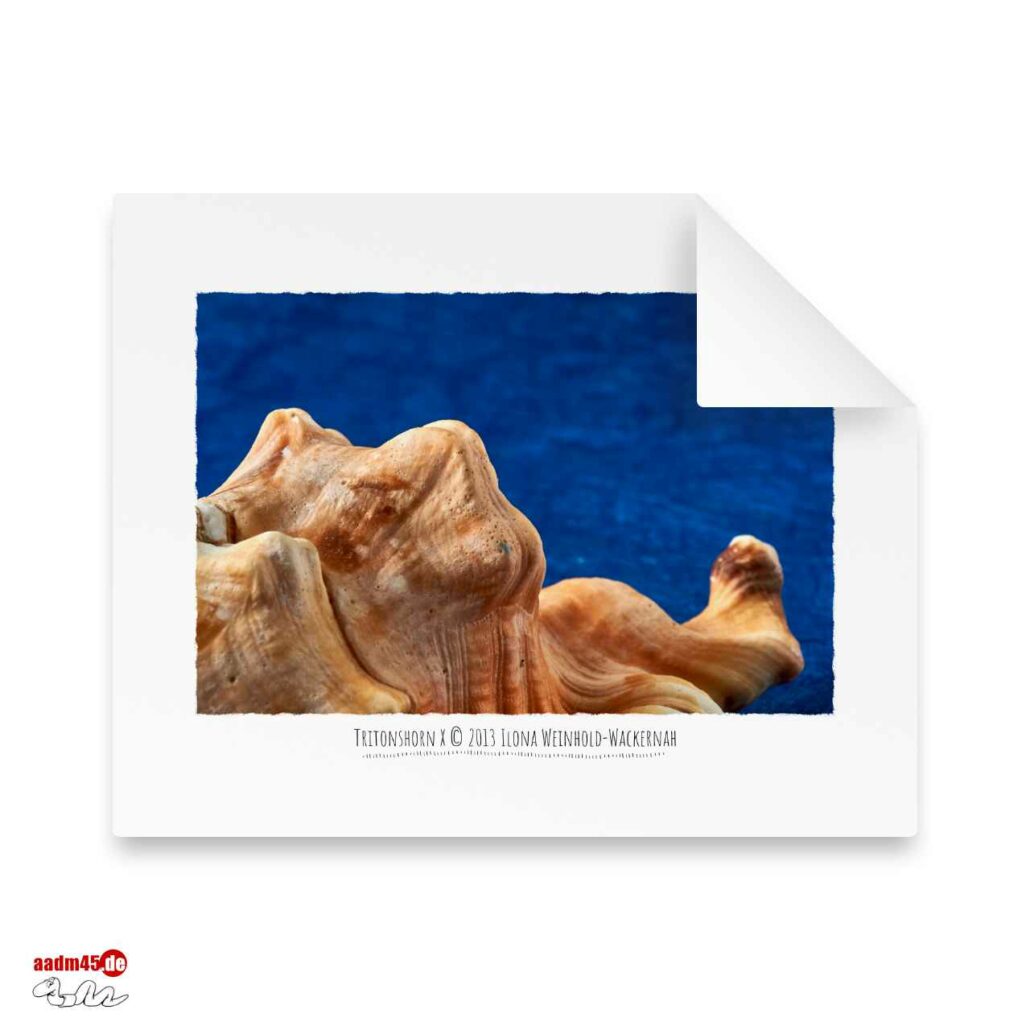 Edition Tritonshorn X · 50x40 cm Hahnemühle William Turner